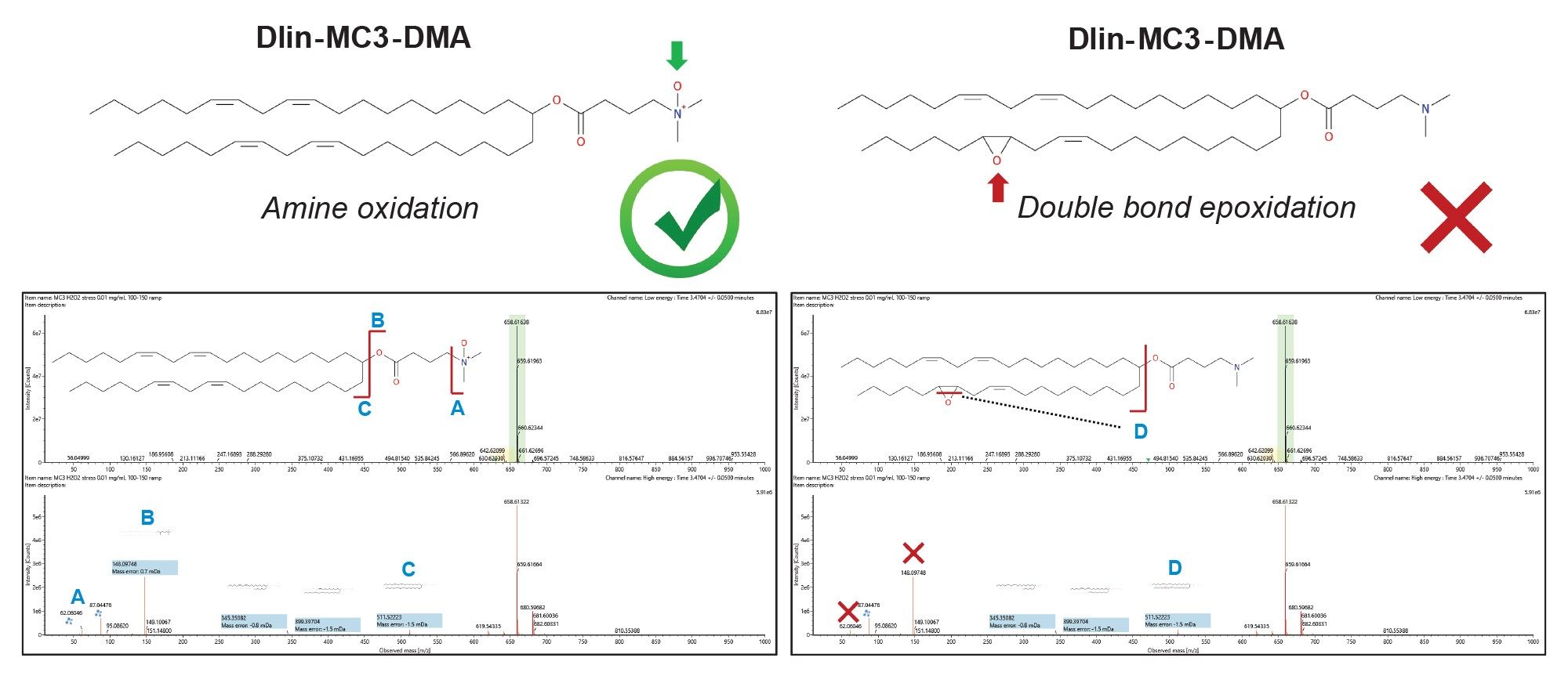 Localization of oxidation on the Dlin-MC3-DMA molecule. Two structures are shown with possible locations for the oxidation, including (left) oxidation of the amine group of the polar head group and (right) epoxidation of one of the double bonds in the fatty acid chain