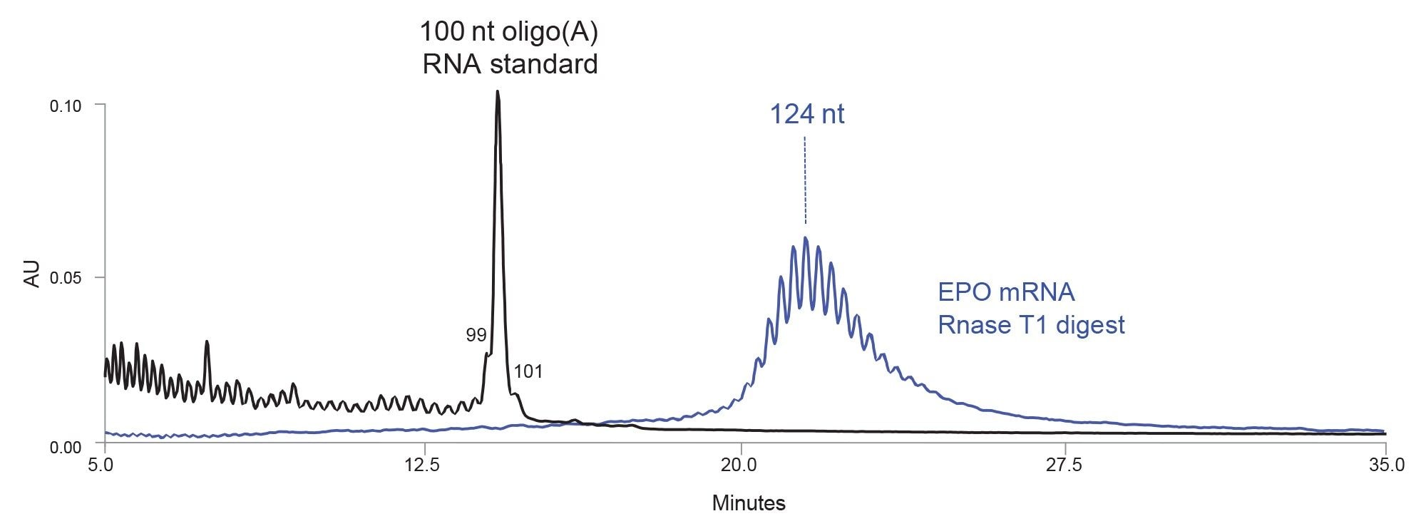 Separation of 100 nt oligo(A) synthetic RNA oligonucleotide standard