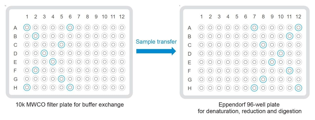  Positions of 10 representative wells for reproducibility study. Notice that the positions of the wells are mirror-images before and after buffer exchange