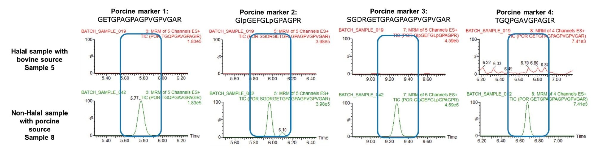 Comparison of MRM chromatograms for the four porcine markers from analysis of halal-labeled