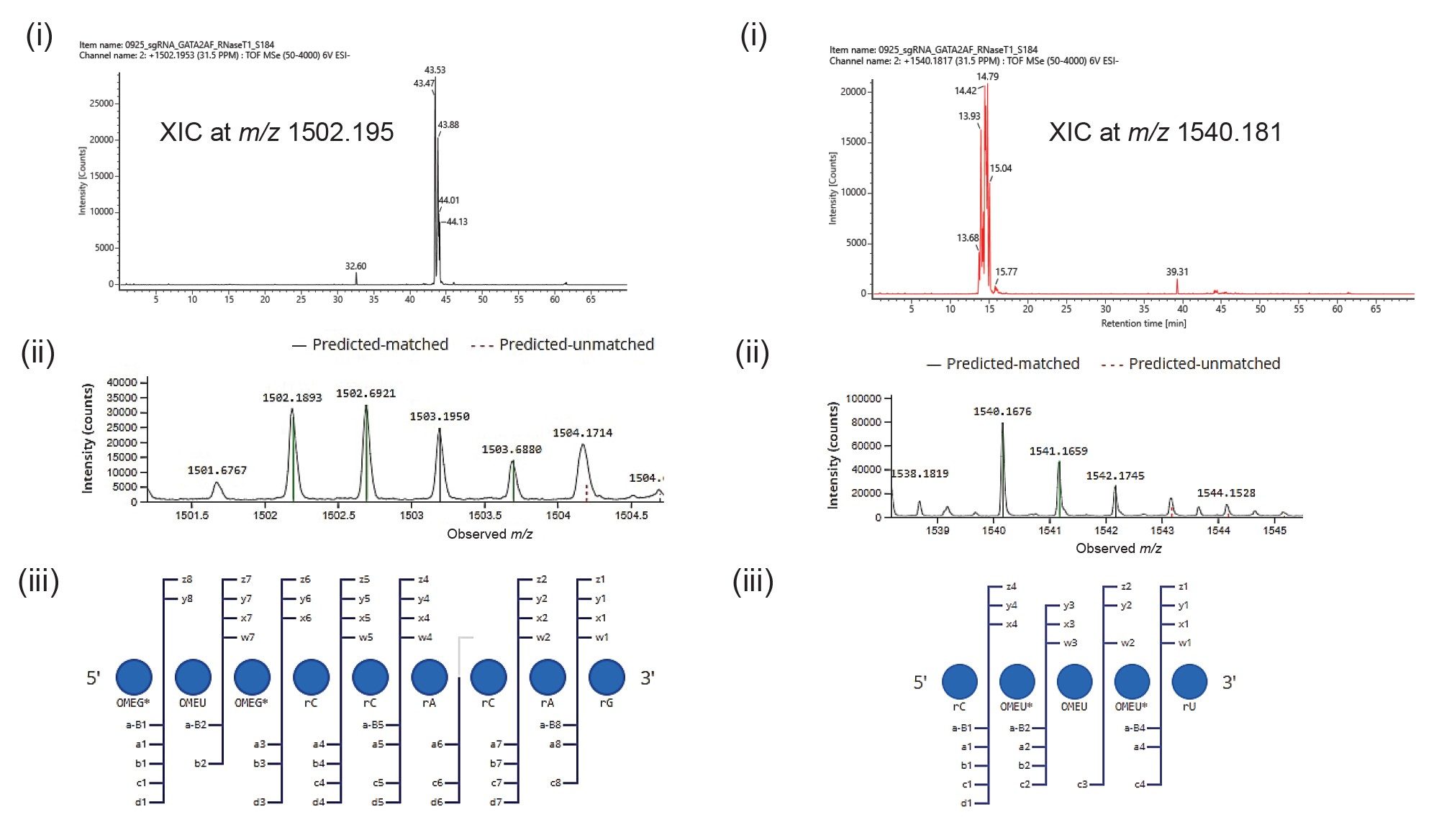 IP-RP-LC-MS based detection of incomplete phosphorothiolation of RNA backbone at both 5’ and 3’ends of sgRNA sequence.