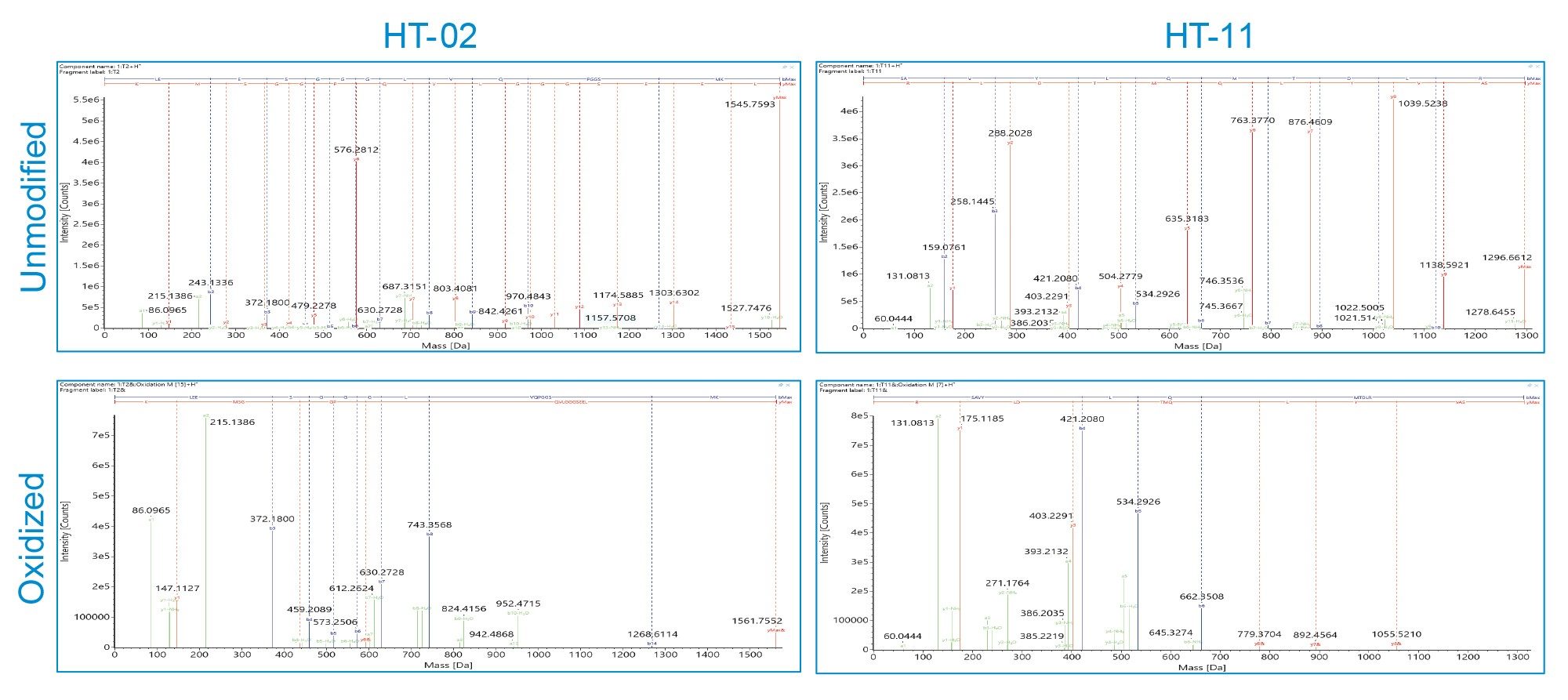 Xevo G3 QTof LC-MSE High energy fragmentation spectra of (LEFT) Heavy Chain Tryptic Peptide 02 (HT02) and (RIGHT) HT-11, in both their (TOP) unmodified form and (BOTTOM) oxidized form, enabling localization of the oxidation site on each peptide