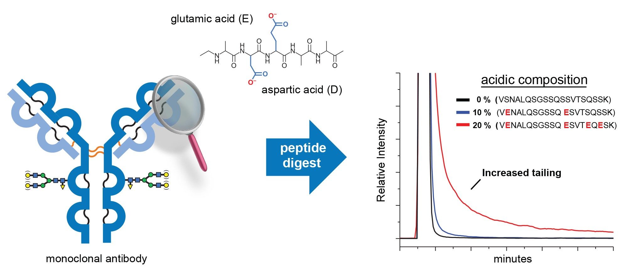 Adsorption artifacts brought on by acidic amino acid residues in proteins such as glutamic and aspartic acid can manifest as peak tailing in peptide mapping profiles