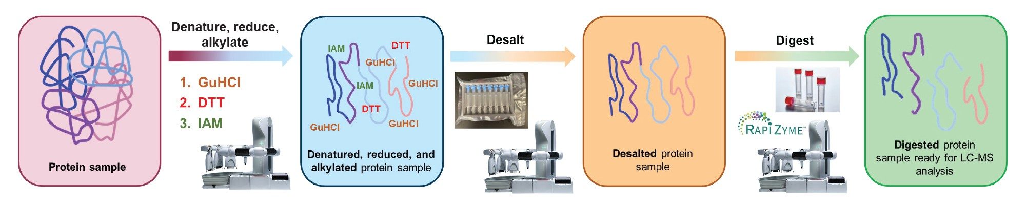 Workflow for the preparation of tryptic protein digests