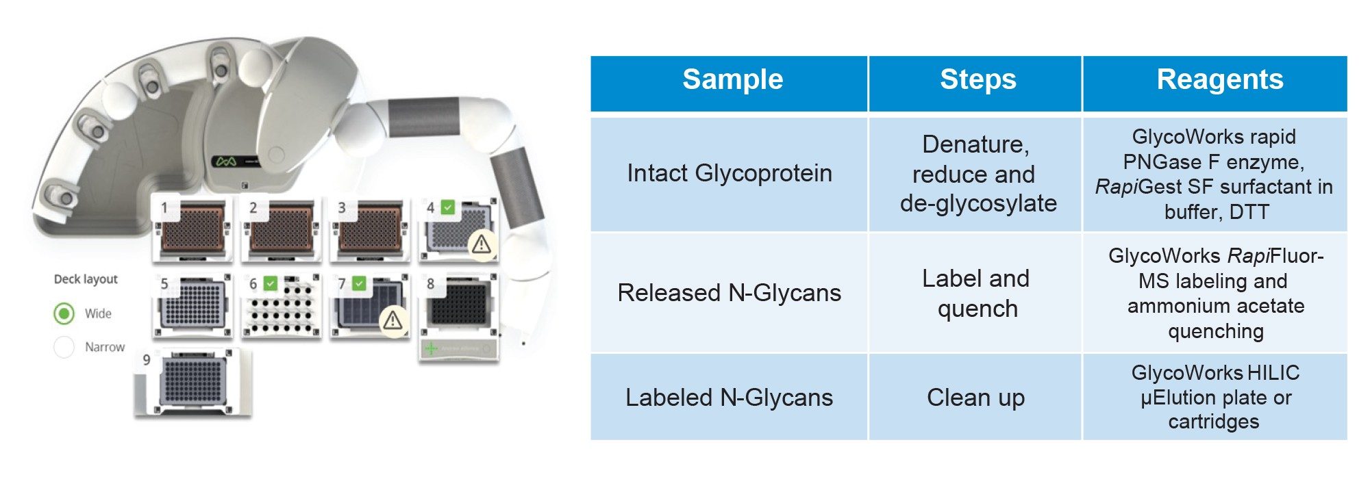  Automated protocol using the Andrew+ Pipetting Robot