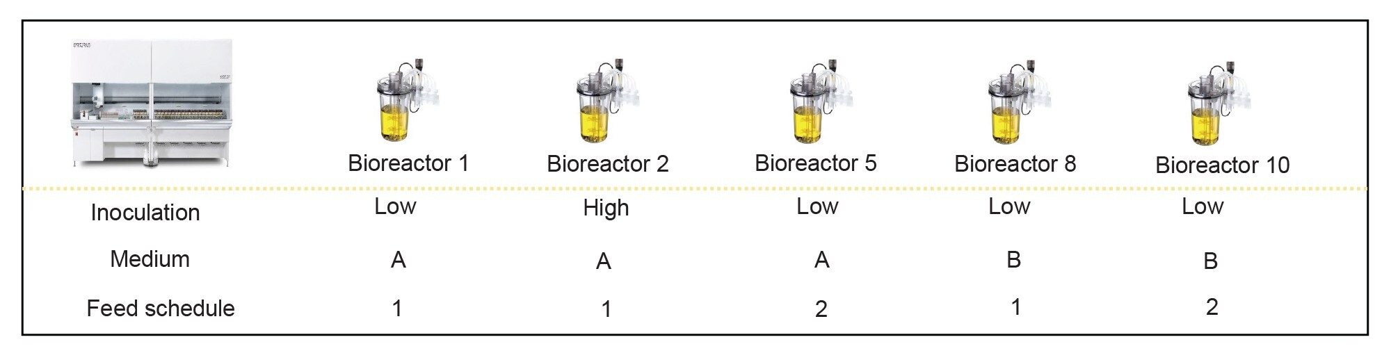 Summary of experimental conditions of samples collected in the intact and culture media monitoring study