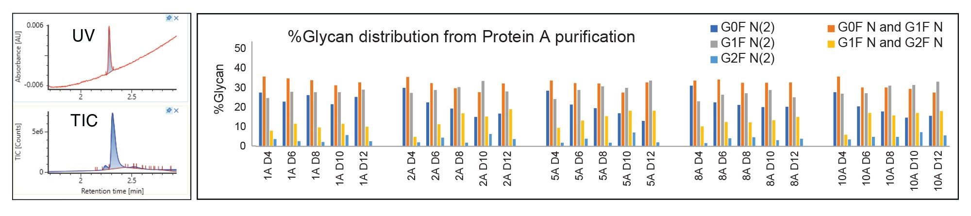 Representative UV and MS TIC chromatogram of media sample post protein A purification