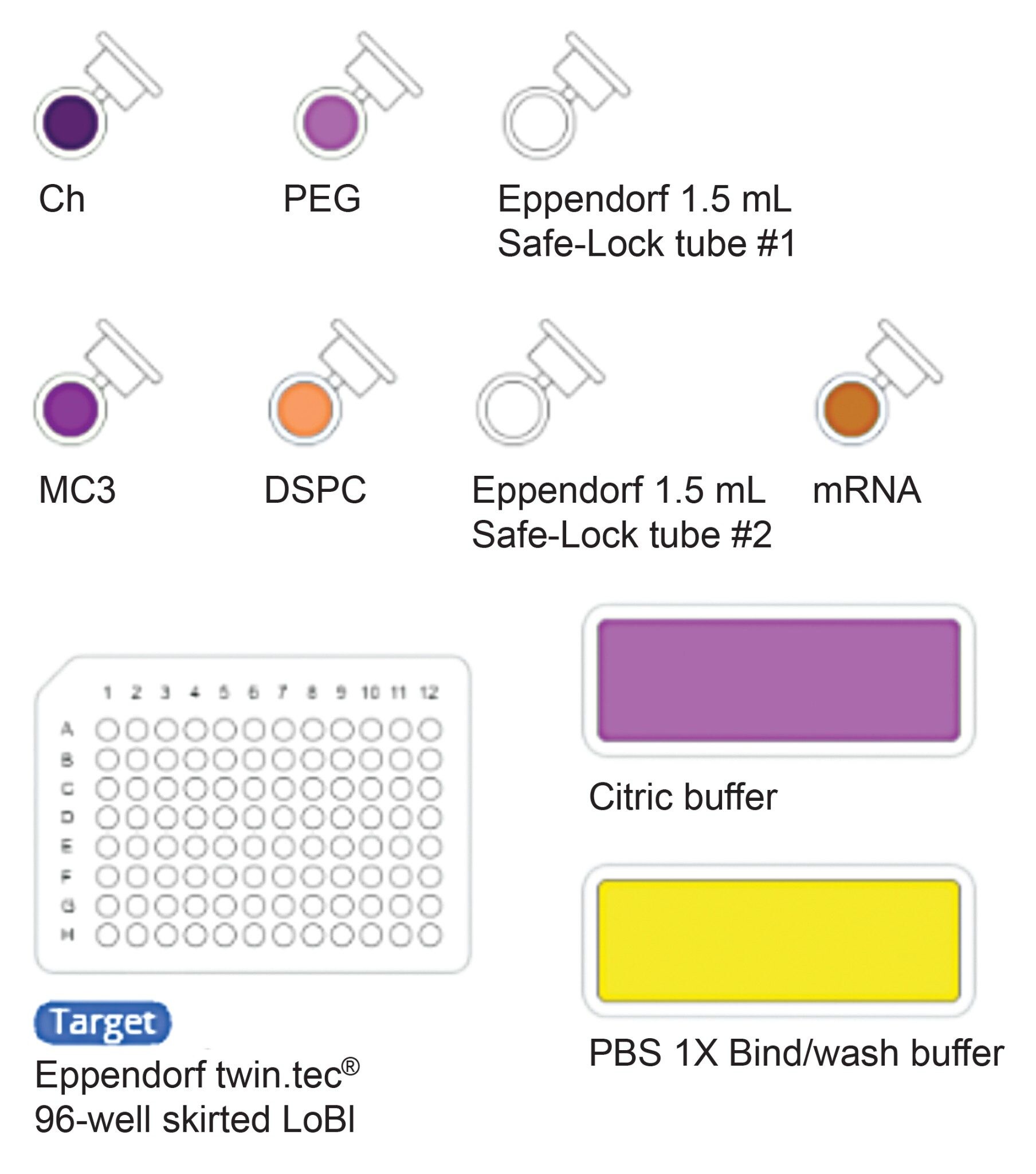 Screenshot of OneLab™ bench at start of the protocol