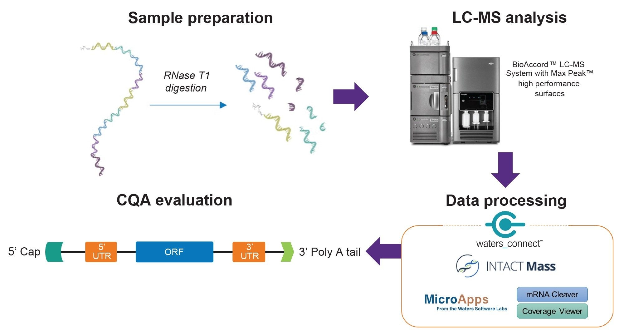 Workflow scheme for the characterization of RNA CQAs