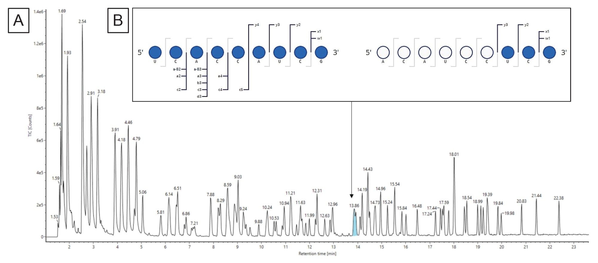 A) Digested fragment components at position 623–631(ACAUCCUCGp) and 551–559 (UCACCAUCGp) are predicted and assigned to the same RT peak in the TIC from Gaye et al. It is not possible to determine the correct assignment using intact mass information. (B) MSE data from the same injection can be used to elucidate the correct sequence for this assignment. Using the waters_connect CONFIRM Sequence application, high energy fragment ions are predicted for each sequence and matched to isotope clusters of the integrated raw data via a bespoke algorithm