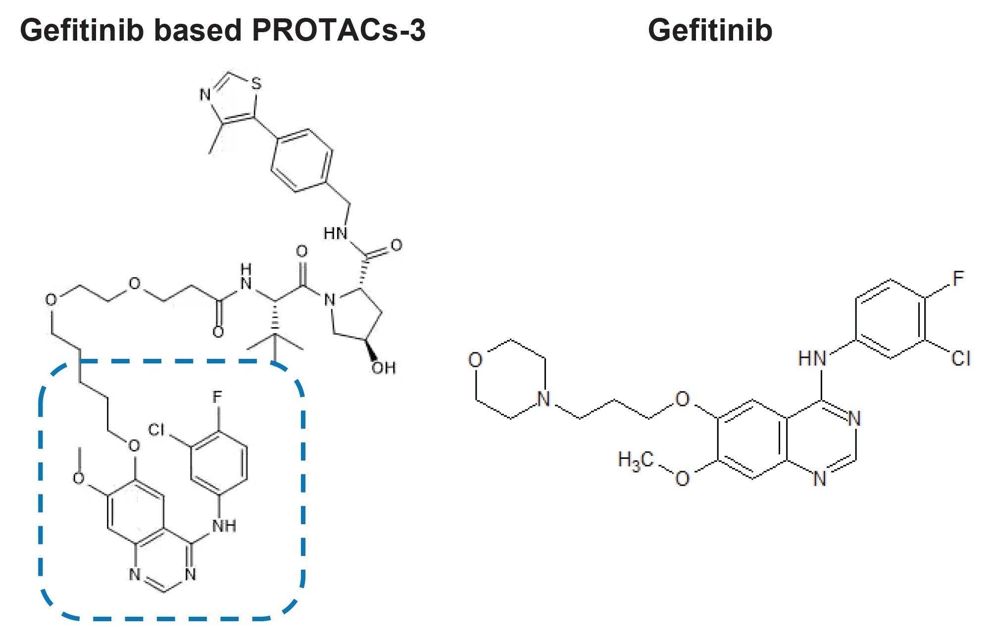 PROTACs-3 Gefitinib (Gefitinib component in dotted line section) and Gefitinib