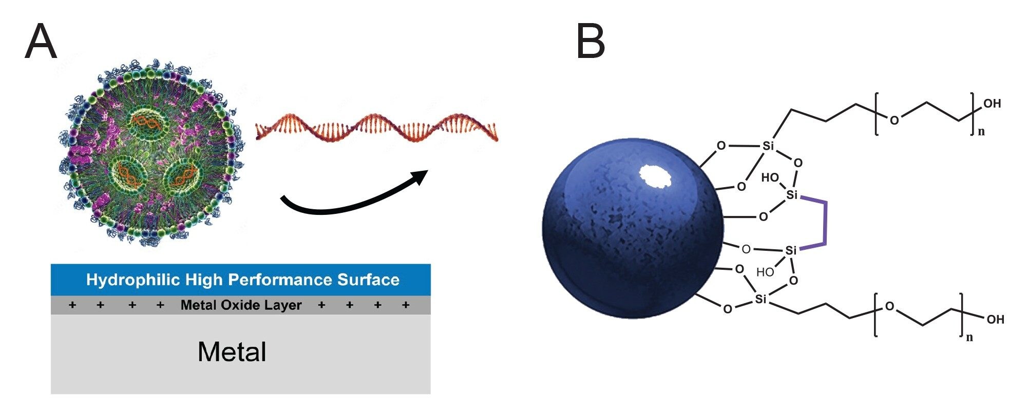 Architecture of a GTxResolve™ Premier SEC 1000 Å 3 µm Column