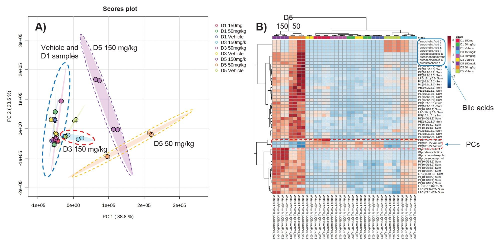 Scores (A) and VIP (B) plots obtained from the statistical analysis of the -ve ESI HILIC-MS/MS analysis of rat plasma