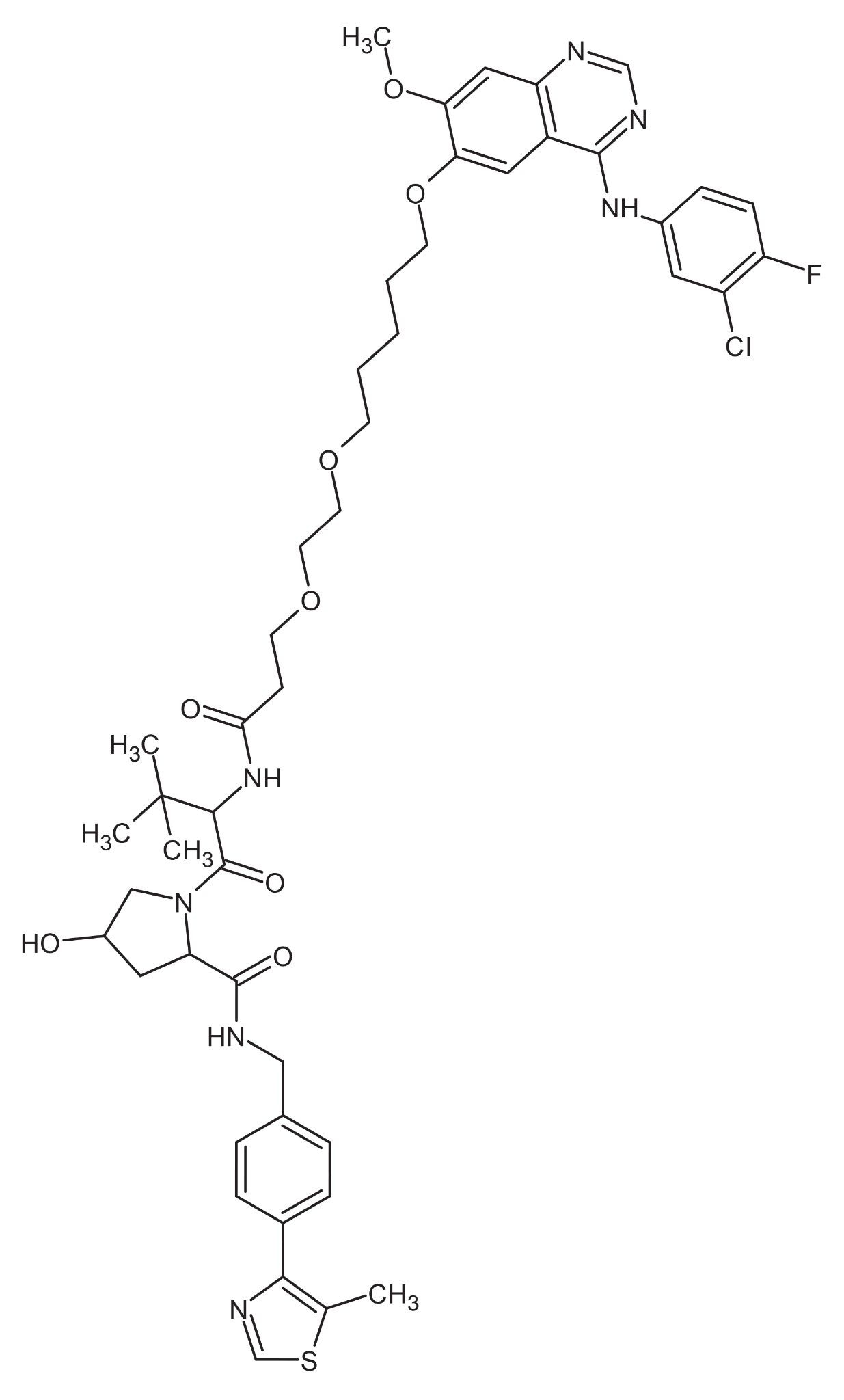 Structure of PROTACs 3 gefitinib