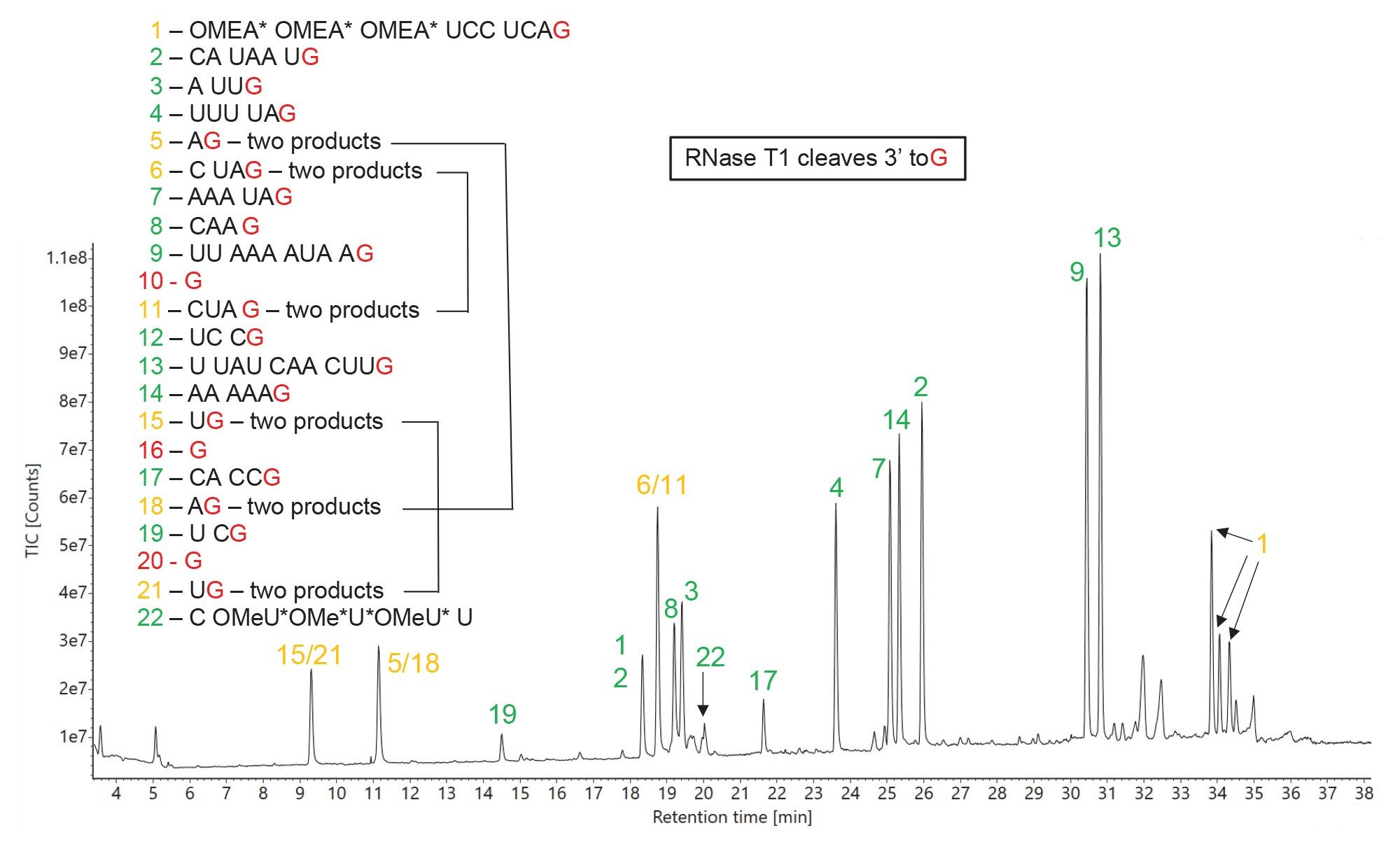 TIC chromatogram recorded for RNase T1 digestion of HPRT1 sgRNA