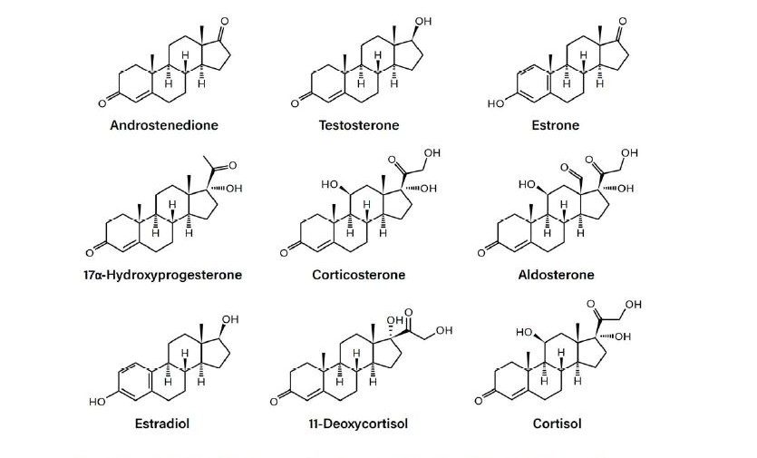 Structures of unconjugated (free) steroids.