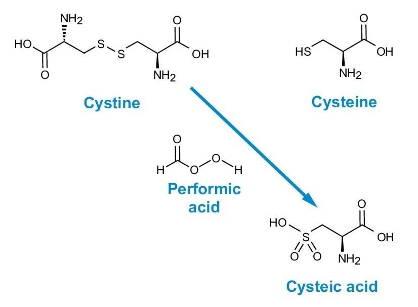 Figure 4. Performic acid oxidation of cystine and cysteine to cysteic acid.