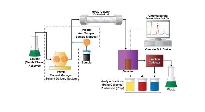 Purification flow path components that contribute to dwell volume are circled (dashed line).