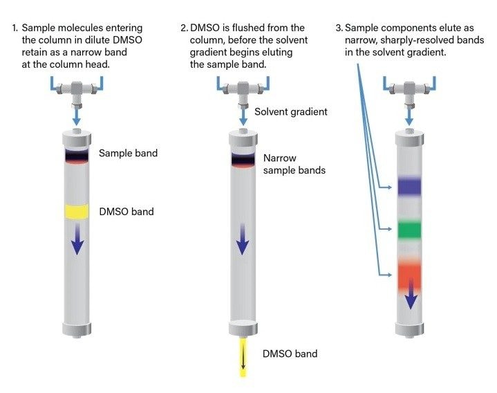 At-Column-Dilution system. The sample plug is carried to the entrance of the column, where it is continuously diluted with a stream of aqueous diluent and precipitation does not occur.