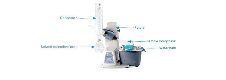 Rotary evaporator set-up.