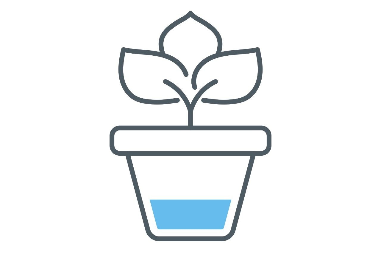 Line drawing of a plant growing out of a pot