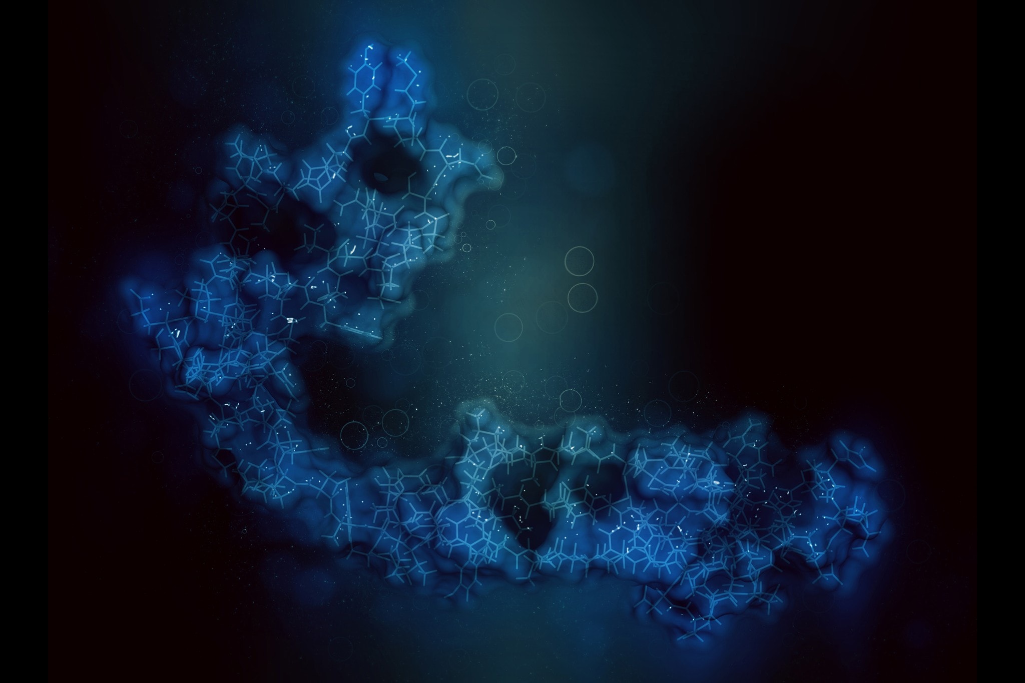 Proteína utilizada como biomarcador de la función renal