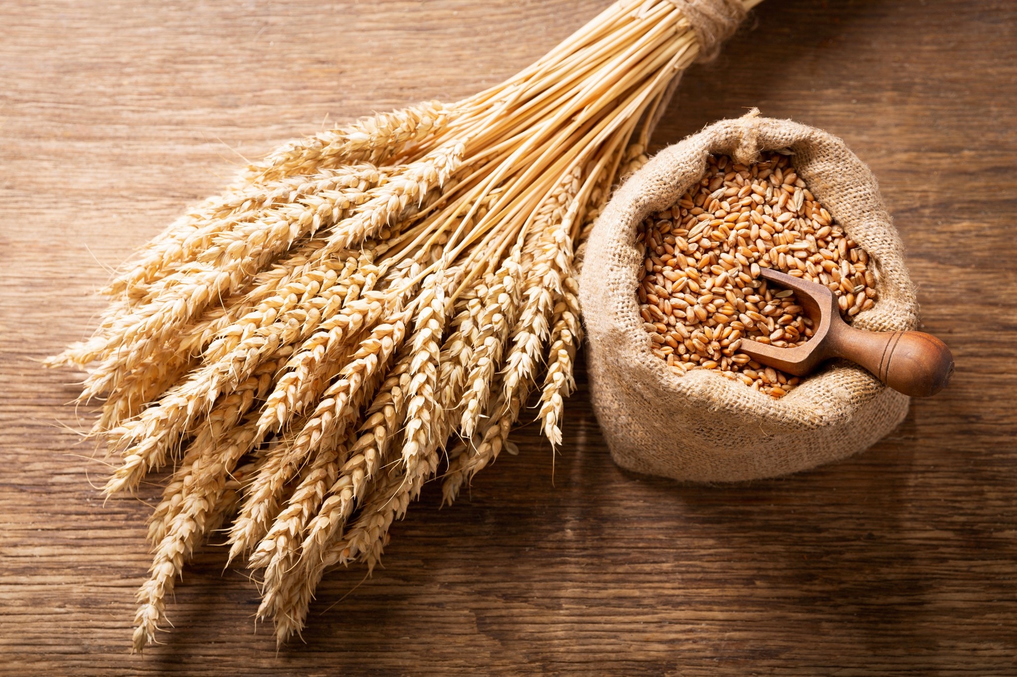 Épis et grains de blé sur une table en bois