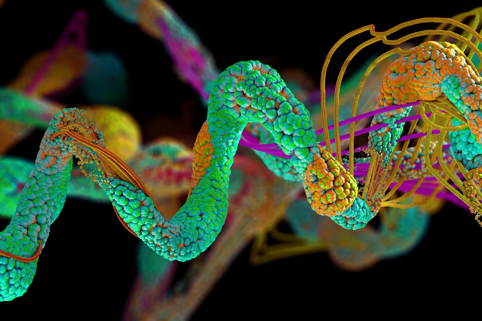 Accédez à des informations moléculaires exceptionnelles en biologie structurale et élucidez la structure en phase gazeuse des complexes macromoléculaires de protéines à l’aide des solutions de biologie structurale de Waters. 