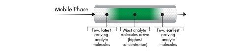 Figure 5 : profil de concentration des molécules d’analytes vertes dans la bande d’analytes.