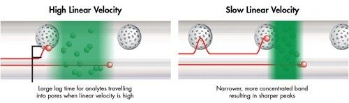 Figura n. 30: Impatto della velocità lineare sul trasferimento di massa e sulle bande degli analiti [stessa dimensione delle particelle].