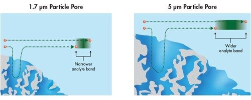 Figura n. 31: Differenze del trasferimento di massa correlate alla dimensione delle particelle [rappresentazione di un poro di 100 Å]. Con le particelle più piccole si formano bande degli analiti più strette.