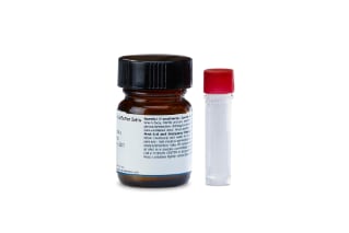 RapiZyme 1 vial small red cap 1 bottle of buffer large black cap straight 186010107