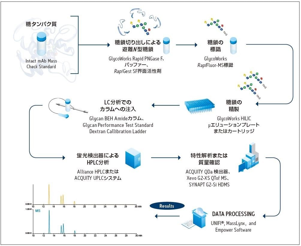 図 6.RapiFluor-MS N-Glycan キットを使用した迅速 N 型糖鎖サンプル調製手順