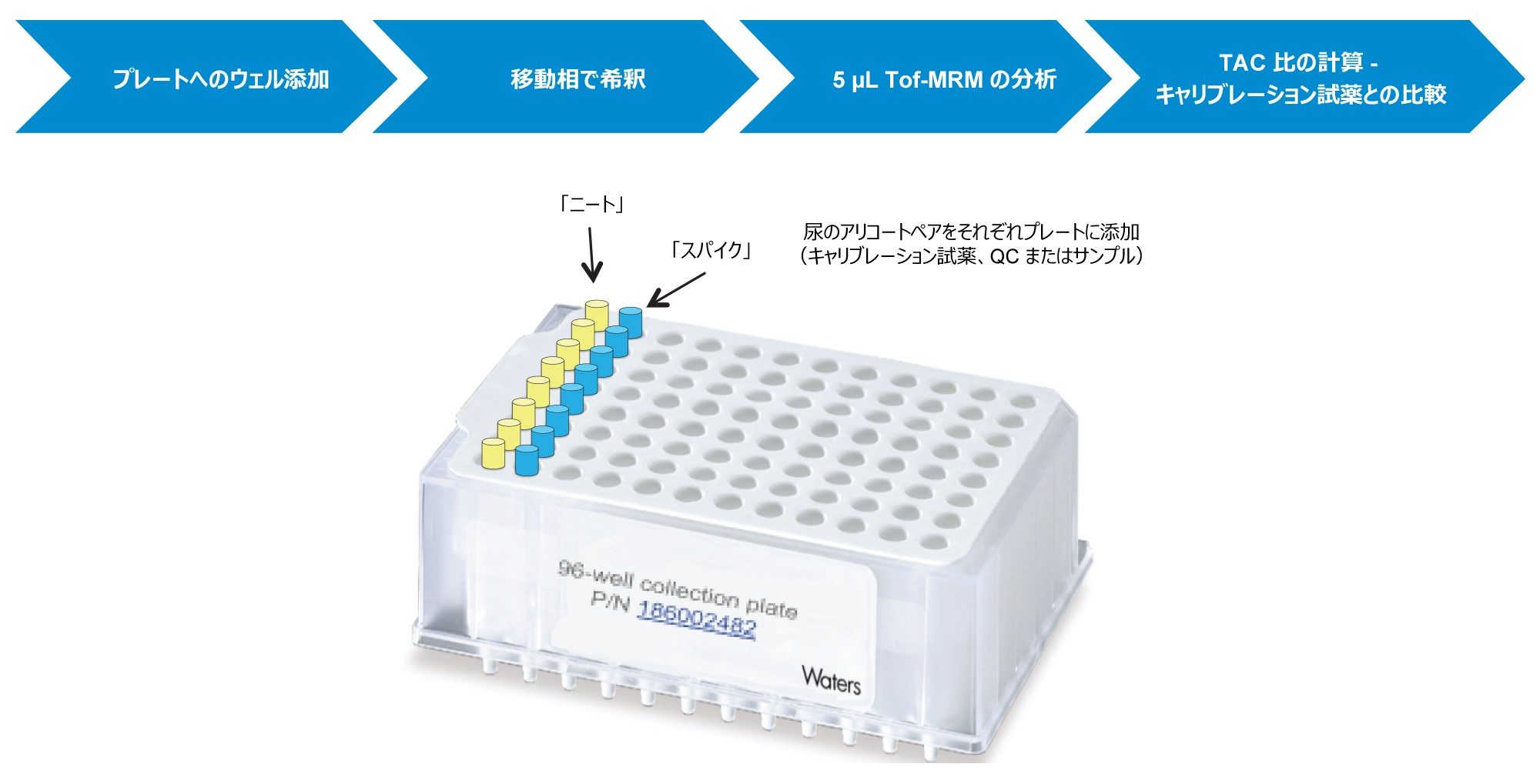 分析手順のサマリー：ウェル内サンプル前処理に続いて Tof-MRM 分析を行いました