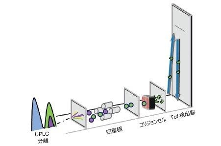 Tof-MRM 分析の概略図