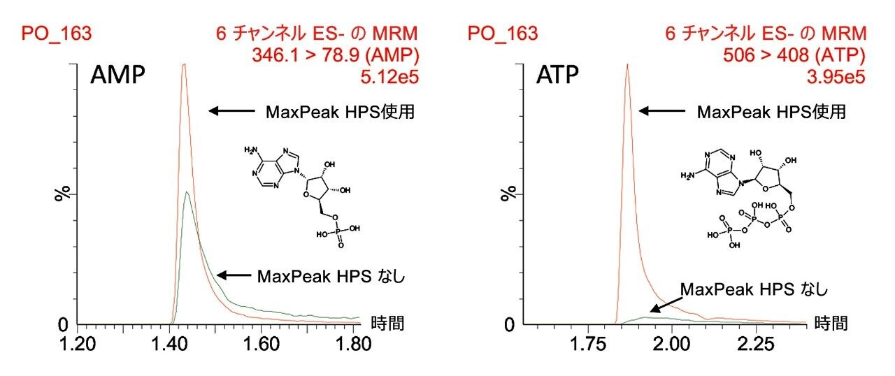 AMP および ATP の分離