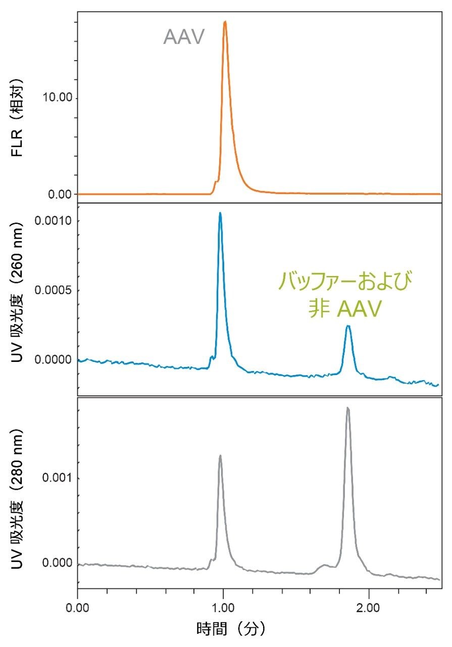 SEC UV 吸光度レスポンスの比較