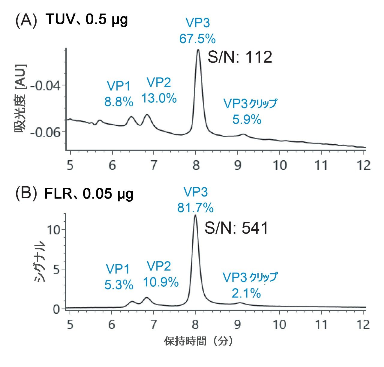 VP タンパク質の相対定量