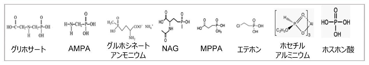 すべての極性農薬の化学構造