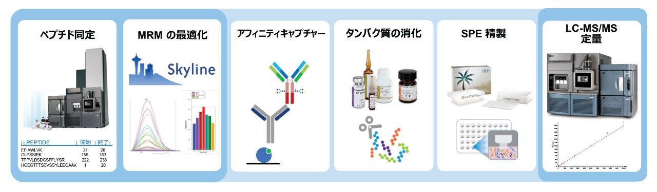 定量分析法開発ワークフロー