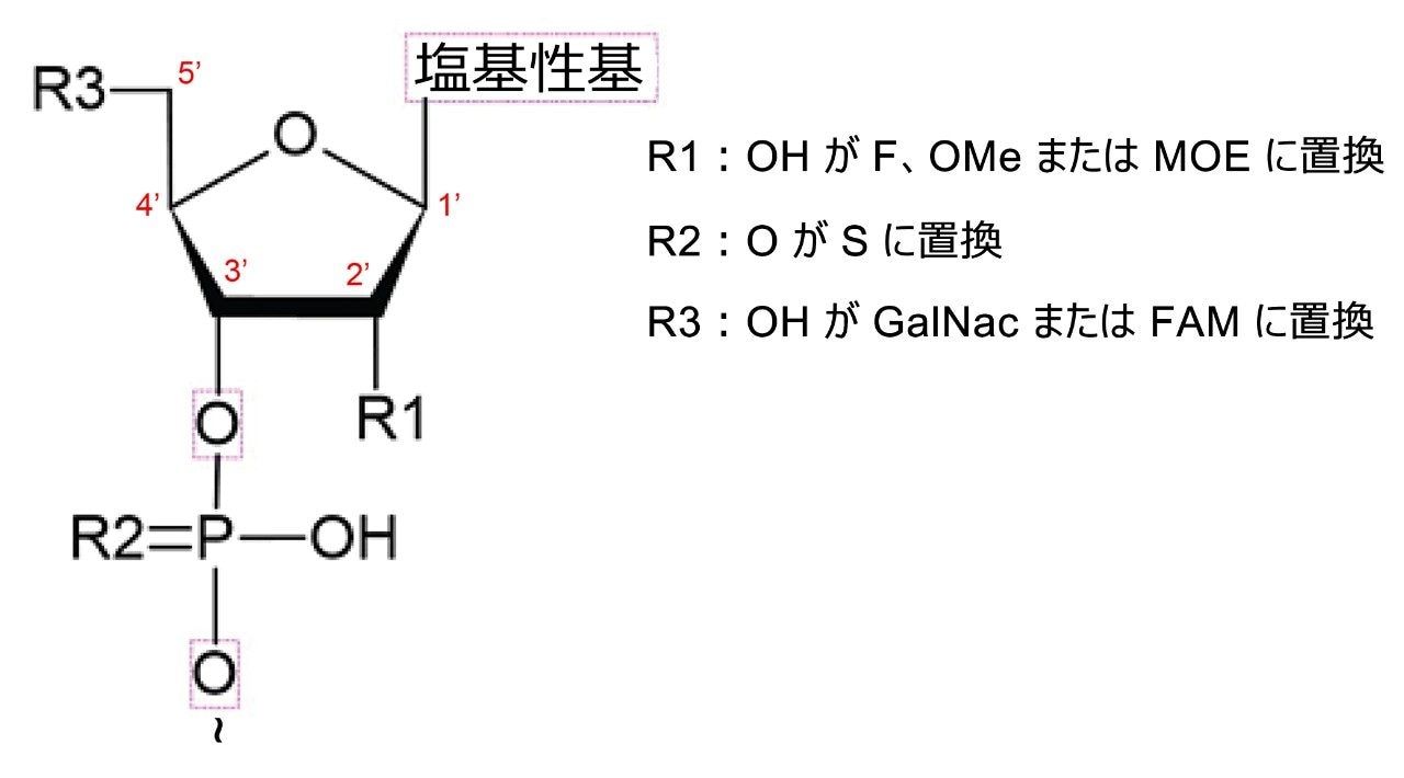 オリゴヌクレオチドの化学構造。