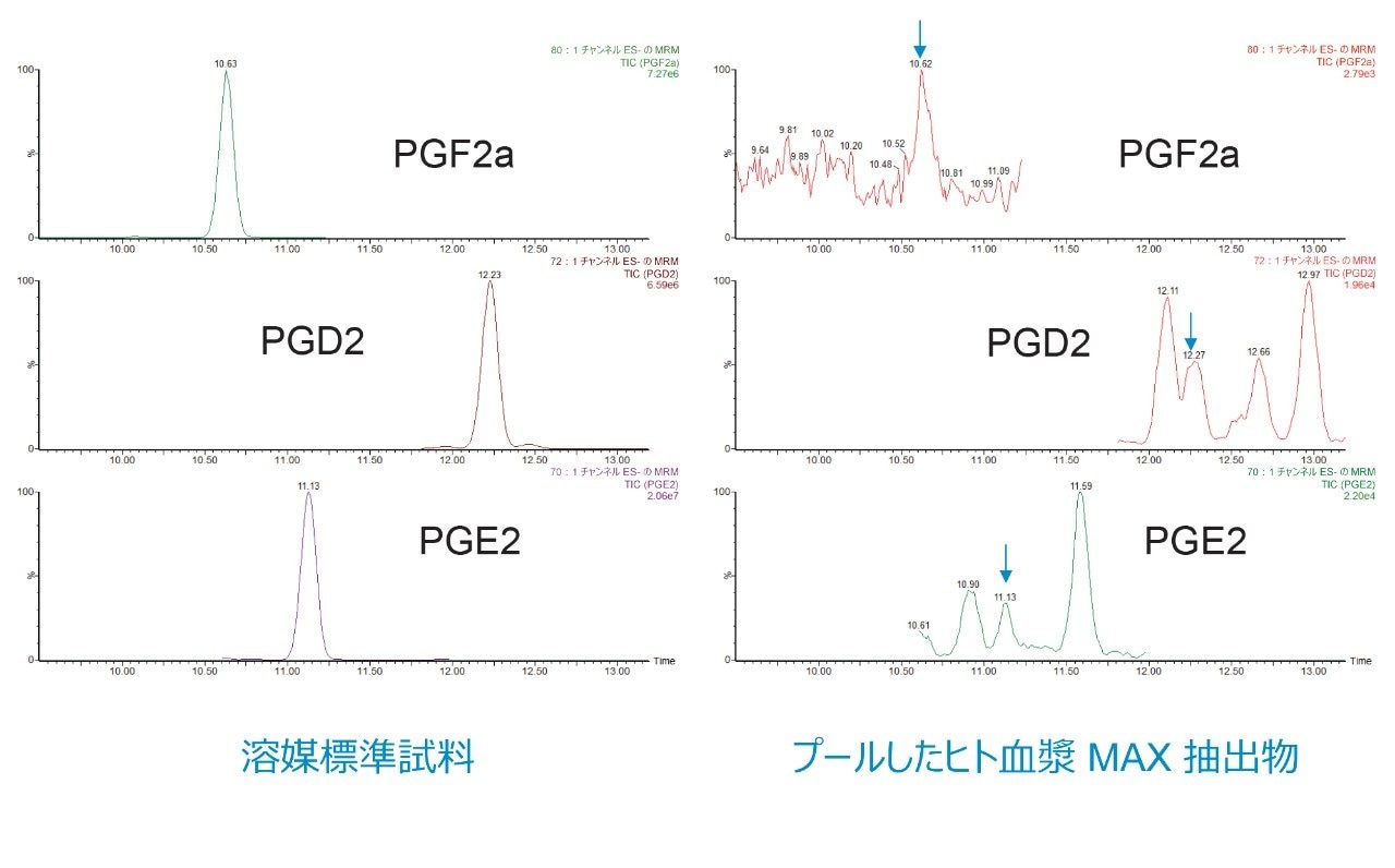 UPLC-MS/MS クロマトグラム