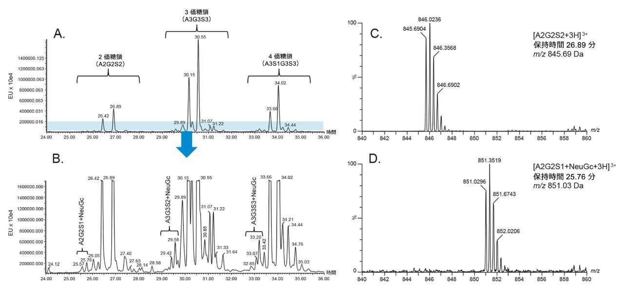 図 2.ミックスモード分離を用いた酸性糖鎖構造バリアントの分離能の改善。A.）フェチュイン中の RFMS 標識糖鎖の FLR プロファイル。B.）（A）の拡大図。NeuGc と NeuAc 糖鎖分析種が更に分離しています。糖鎖の構造割り当ては、それぞれの分析種の MS スペクトルに基づいて行いました。C.）A2G2S2 の MS スペクトル。（S は NeuAc） D.） A2G2S1+NeuGc の MS スペクトル。