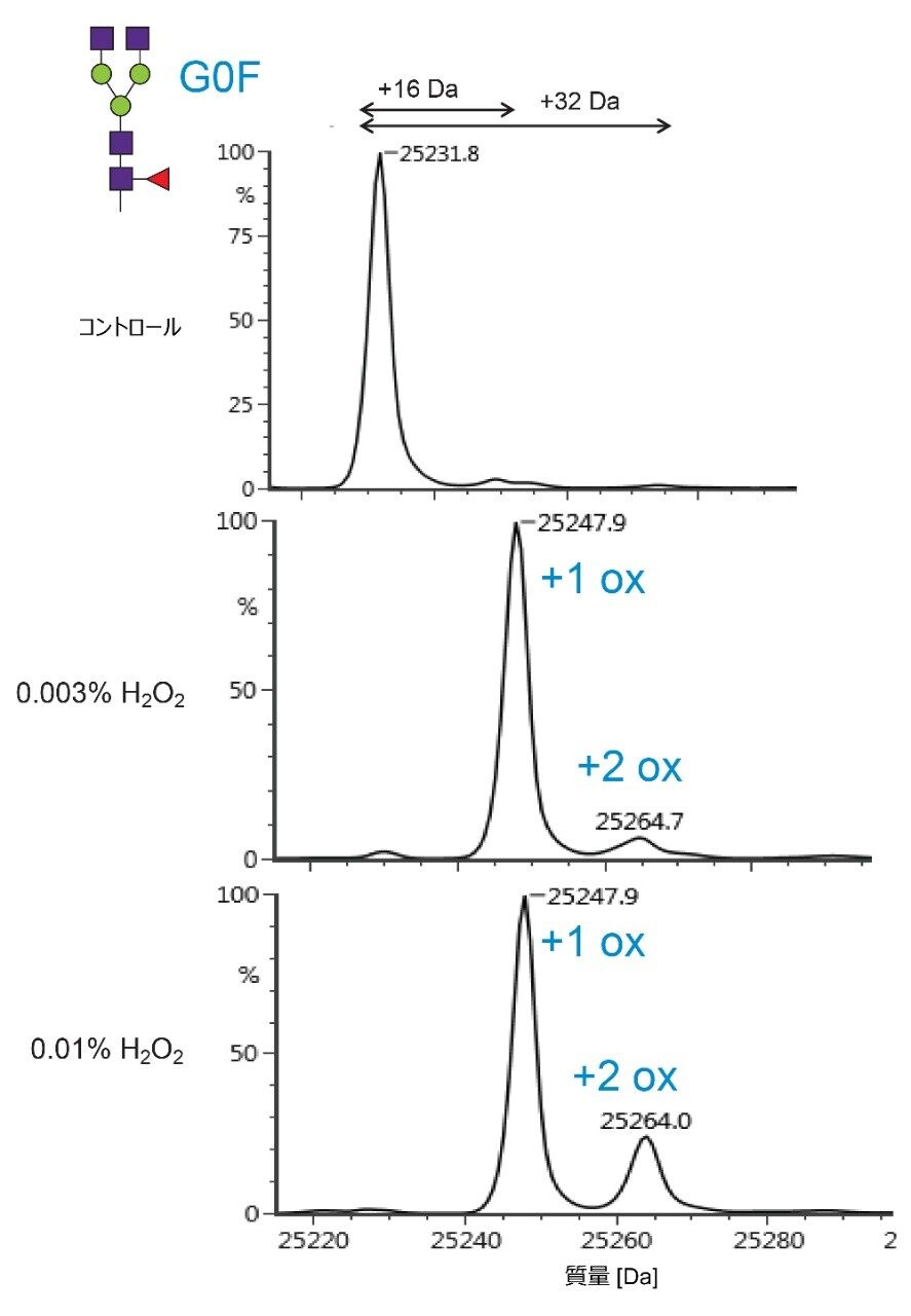 NIST mAb の強制酸化試験