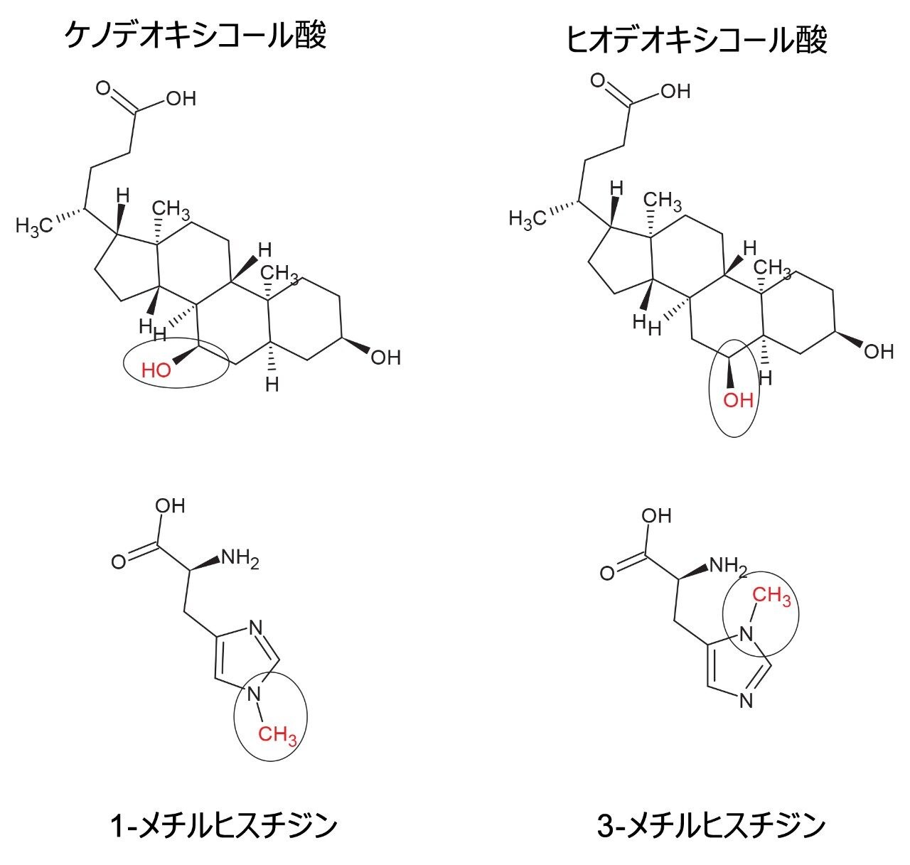 調査した胆汁酸およびメチルヒスチジン化合物の化学構造