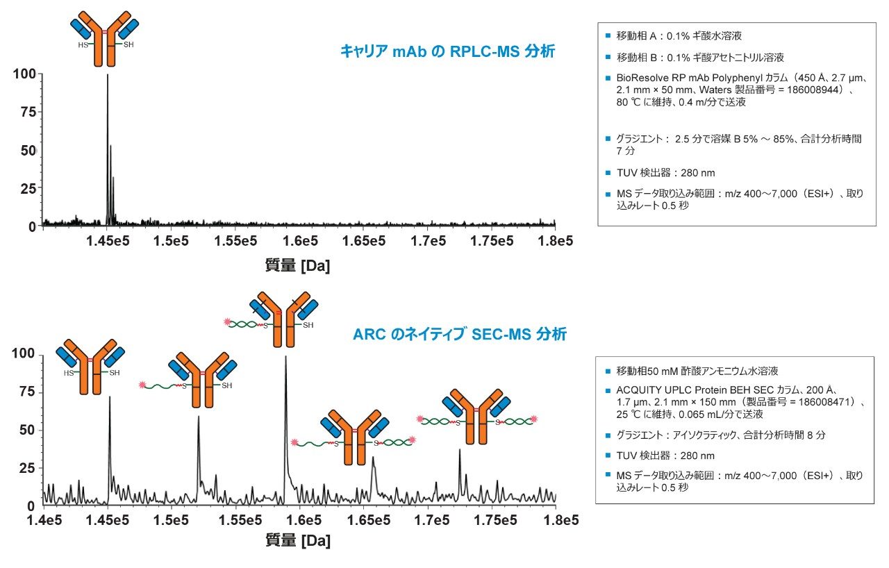 上：キャリアタンパク質のチャージデコンボリューションしたインタクト質量。下：ネイティブ SEC-MS 分析からチャージデコンボリューションした DAR 分子種。