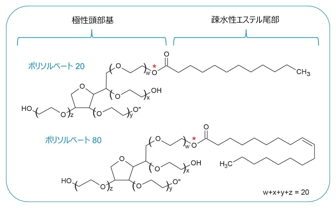 ポリソルベートの構造