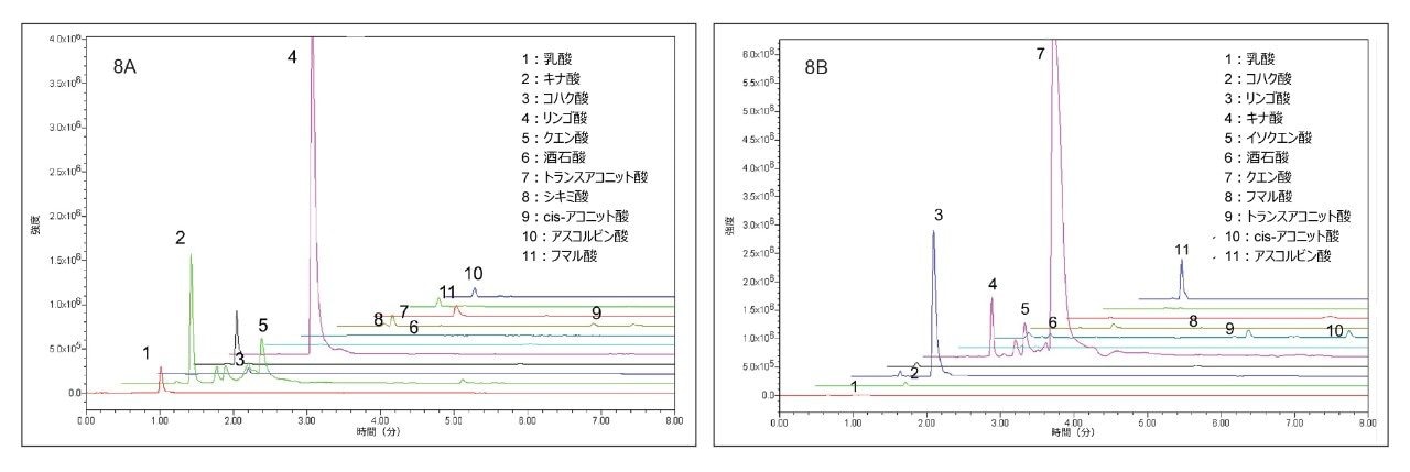 リンゴジュース（8A）およびオレンジジュース（8B）中に検出された有機酸