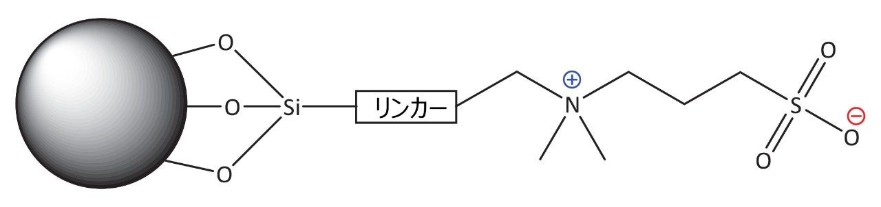 Atlantis BEH Z-HILIC 用スルホベタイン型固定相の構造