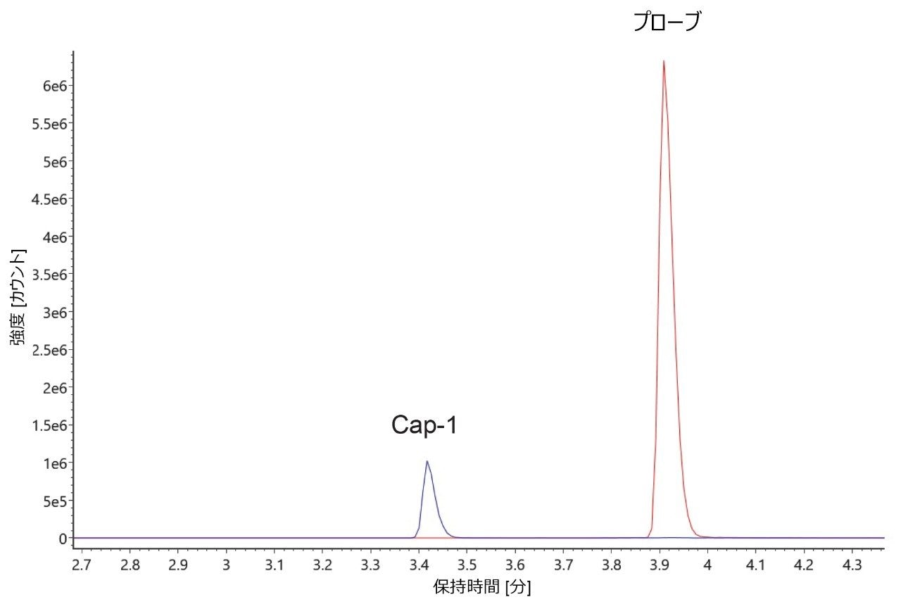 ACQUITY Premier Oligonucleotide BEH C18、1.7 μm、2.1 × 50 mm カラムを使用して、Cap-1 と代表的なプローブの等モル溶液から得られた XIC の重ね描き。